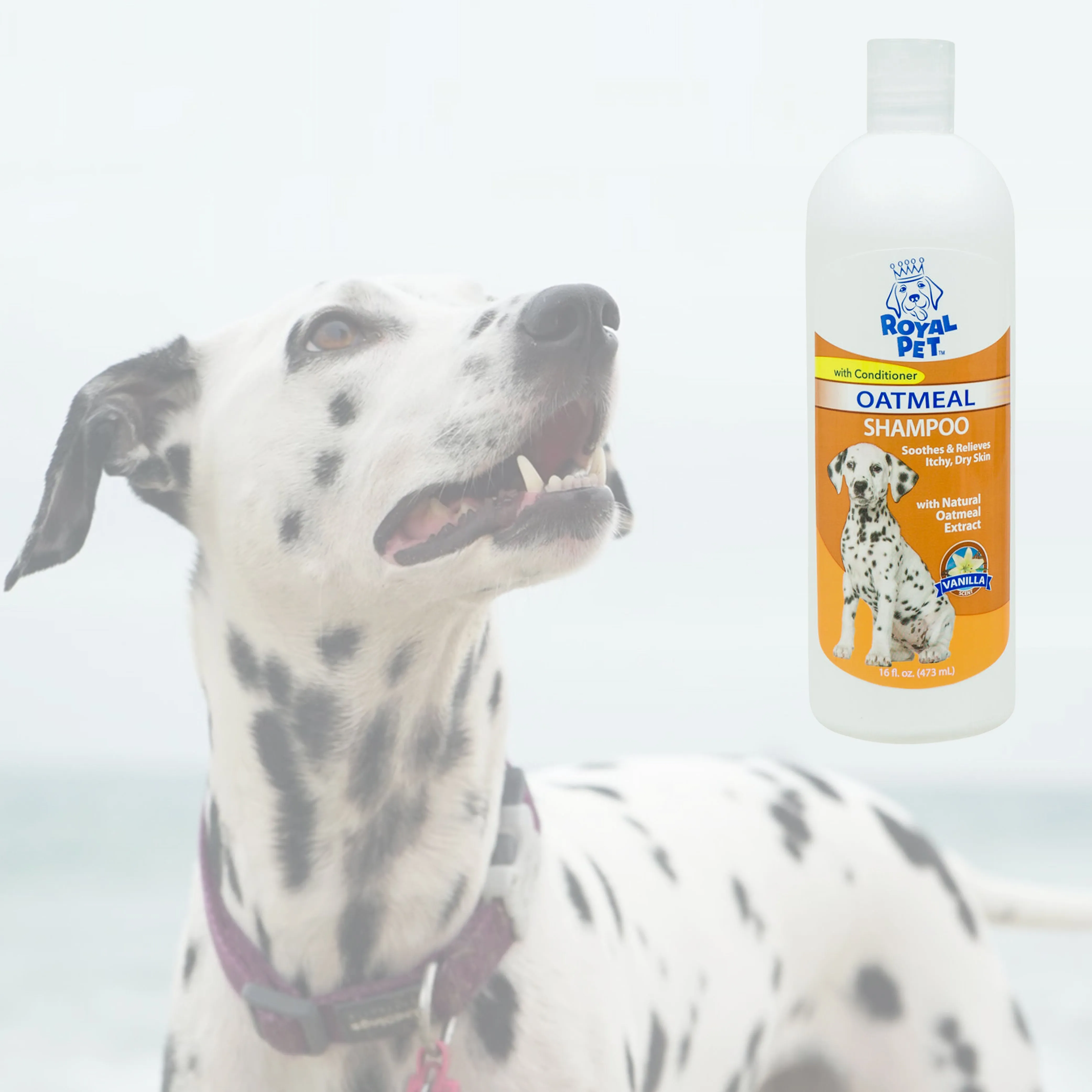 2X Pet Natural Oatmeal Dog Shampoo Odor Eliminator Vanilla Dry Itching Skin 32oz