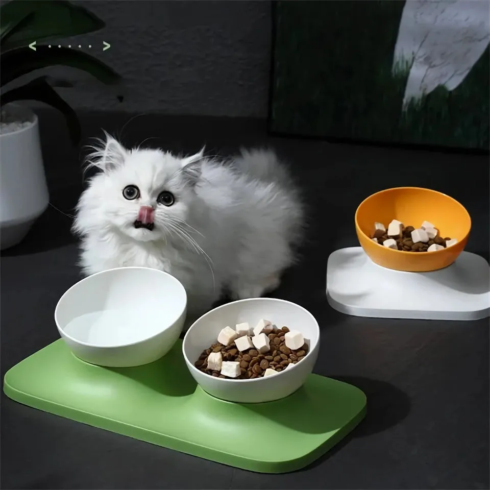 Adjustable Anti-Upset Double Bowl Feeding Station for Cats and Dogs