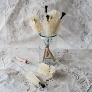 Bottle Brushes with Selection of Tips and Sizes