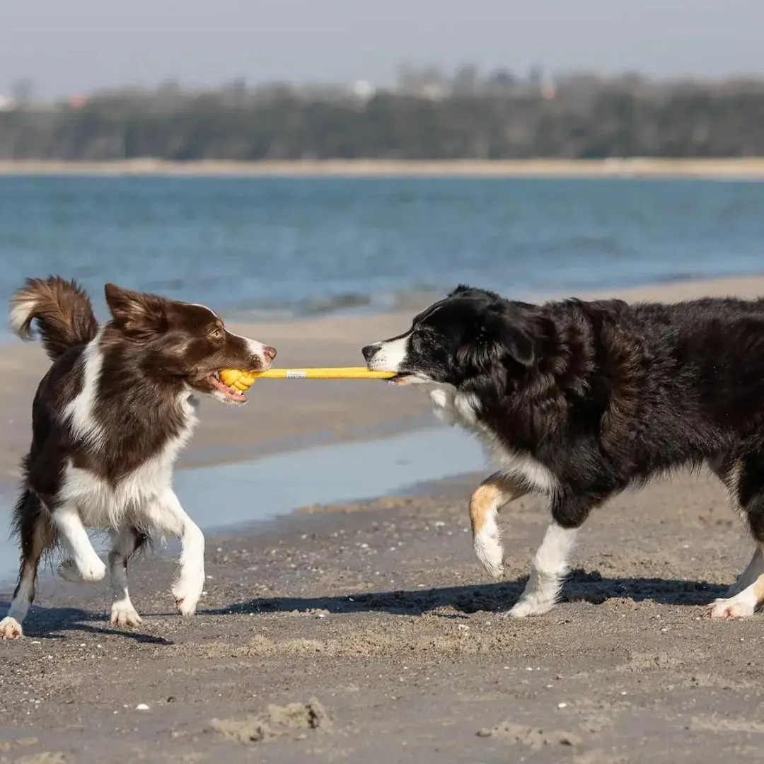 Bowl and Bone Yellow Bullet Rope Dog Toy