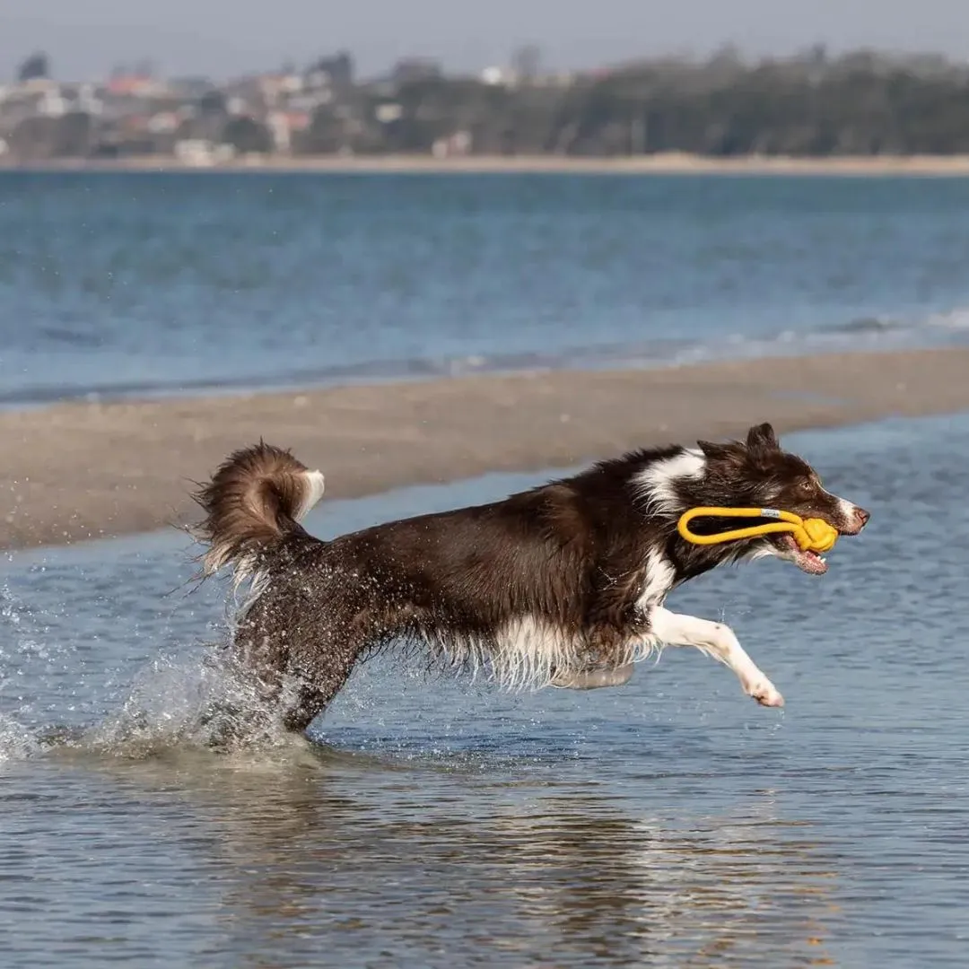 Bowl and Bone Yellow Bullet Rope Dog Toy
