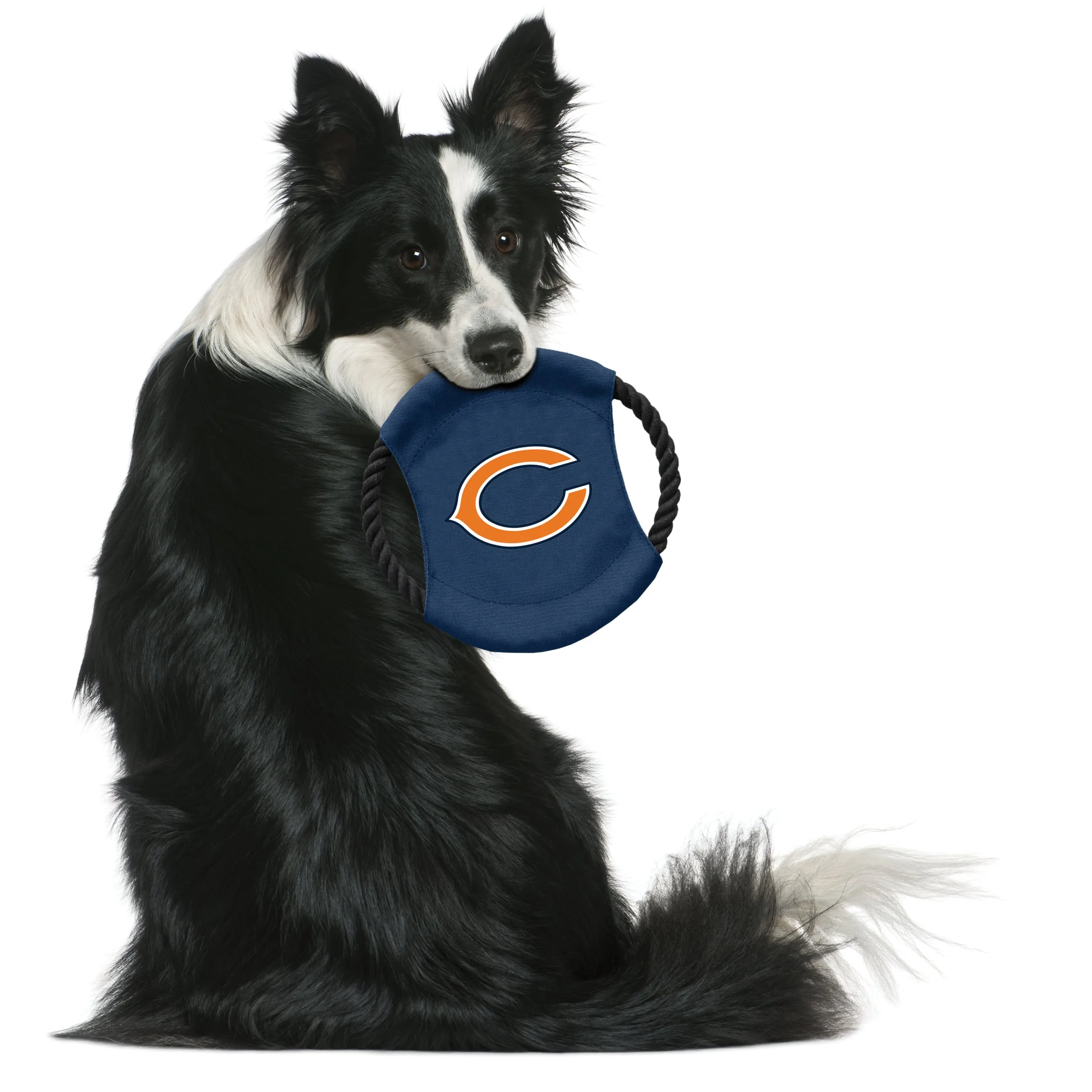 Chicago Bears Team Flying Disc Pet Toy