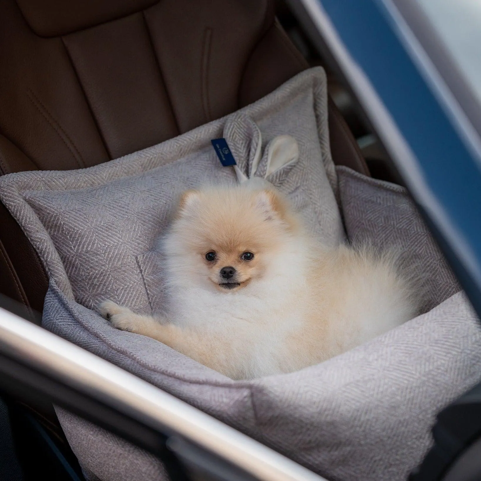Luxury Dog Car Seat | Florence by Oh Charlie
