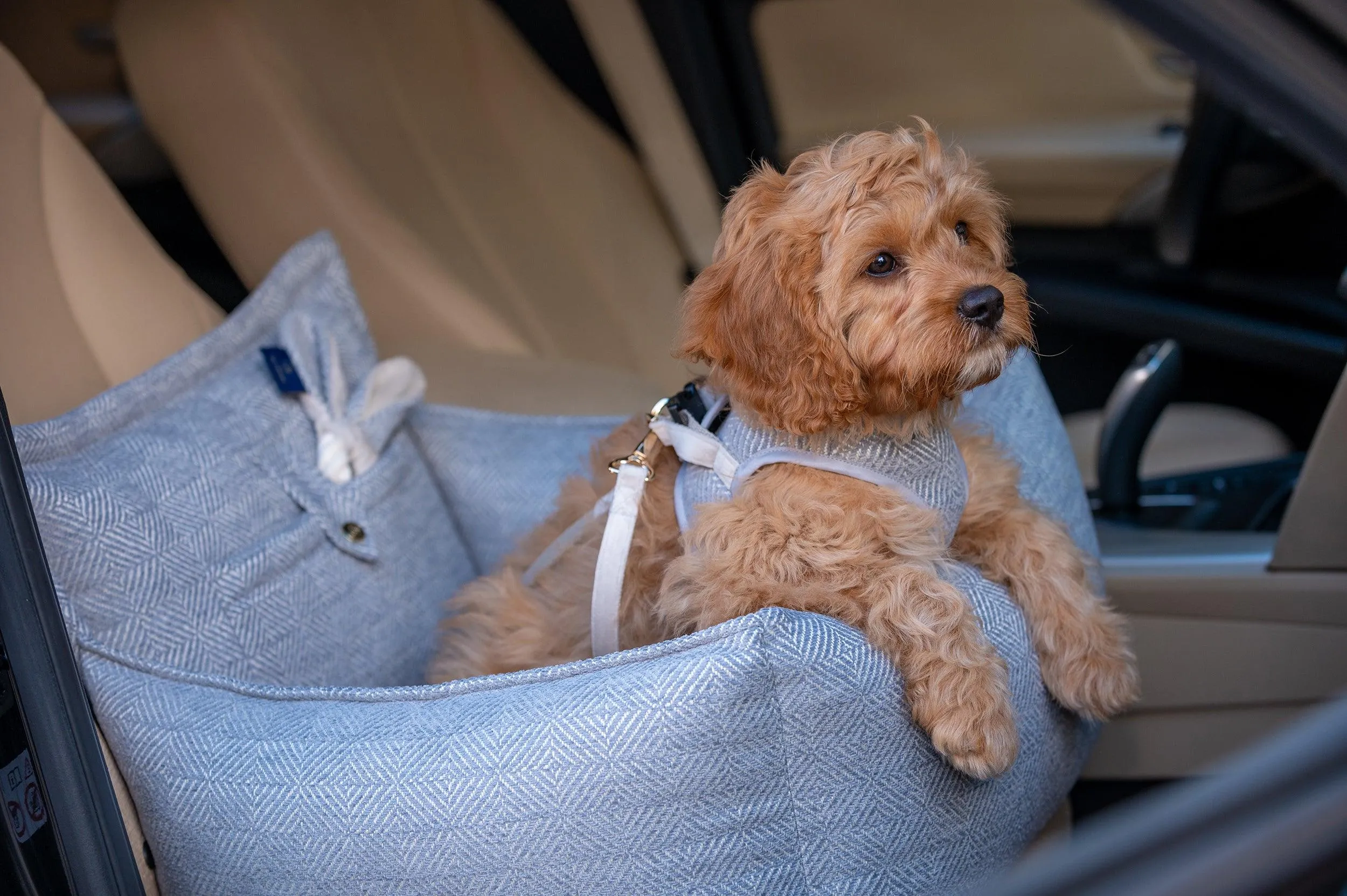 Luxury Dog Car Seat | Florence by Oh Charlie