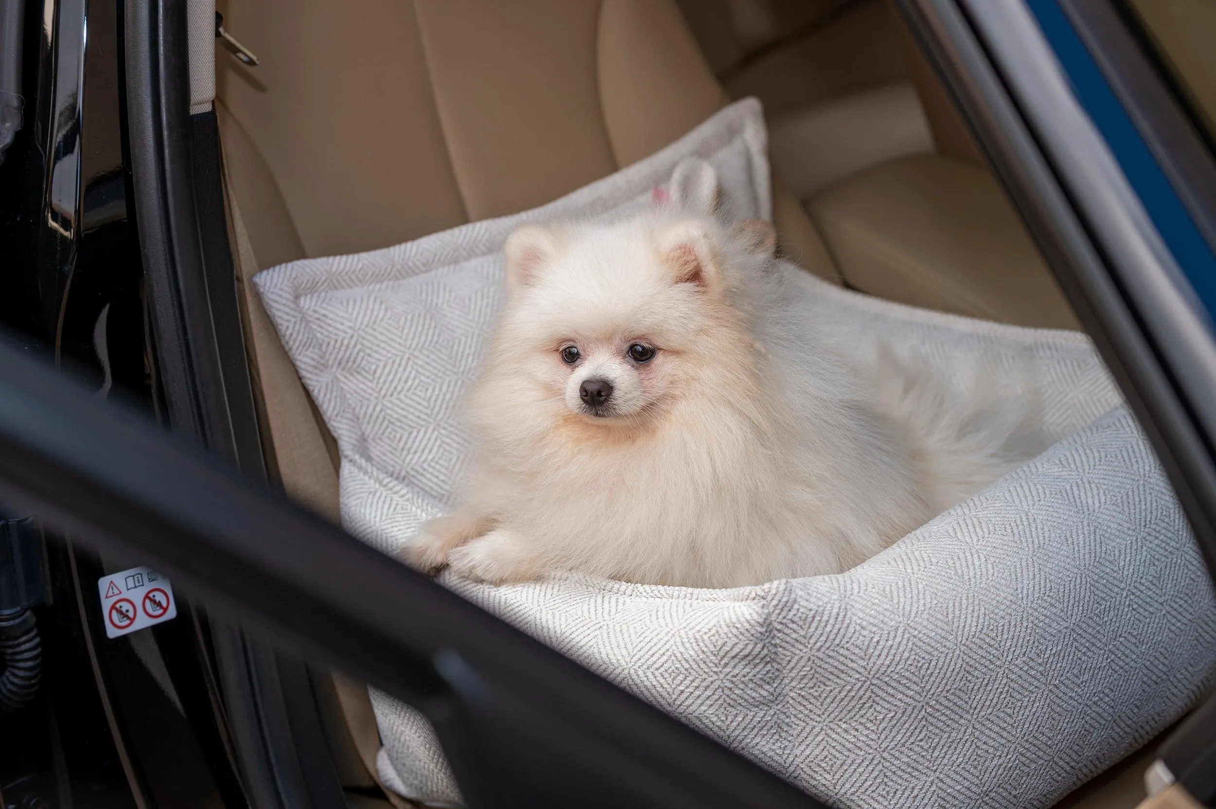 Luxury Dog Car Seat | Florence by Oh Charlie