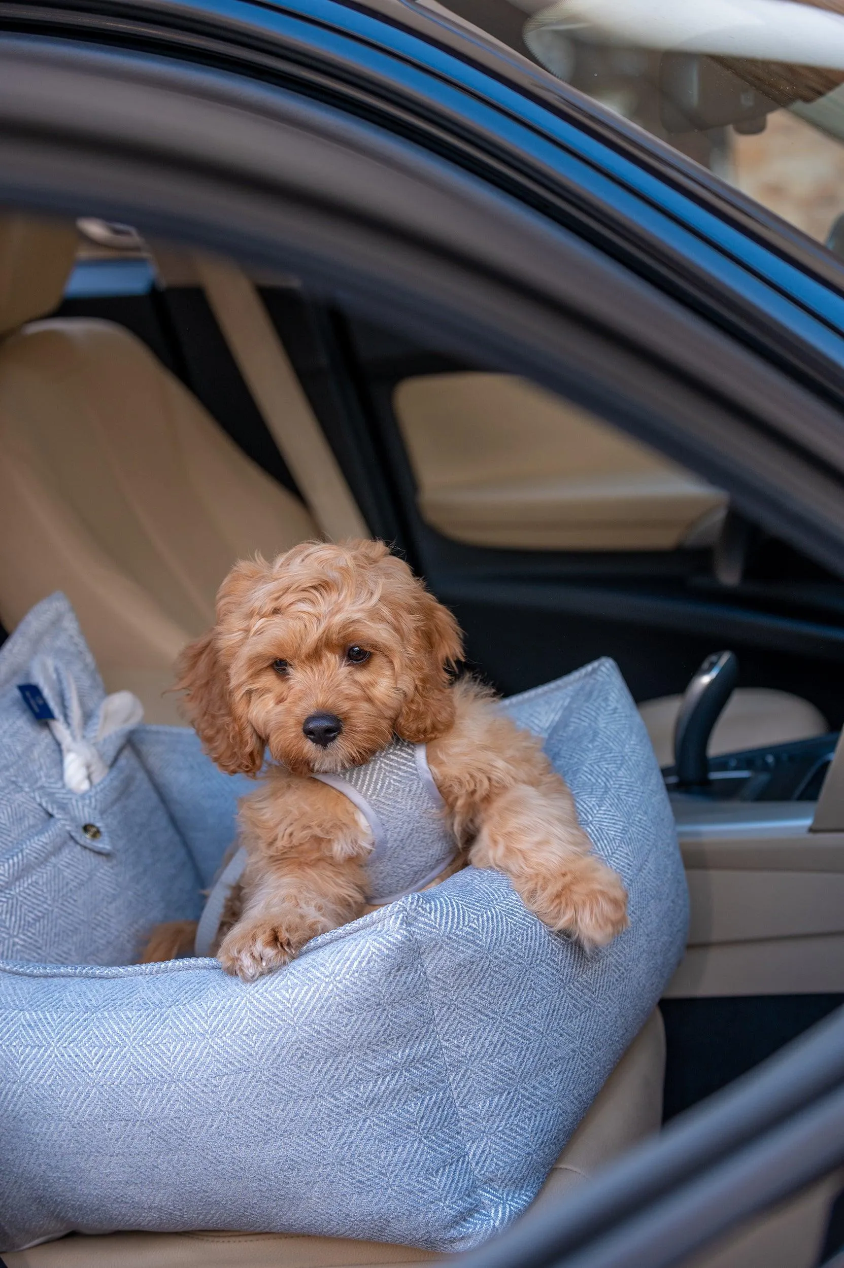 Luxury Dog Car Seat | Florence by Oh Charlie