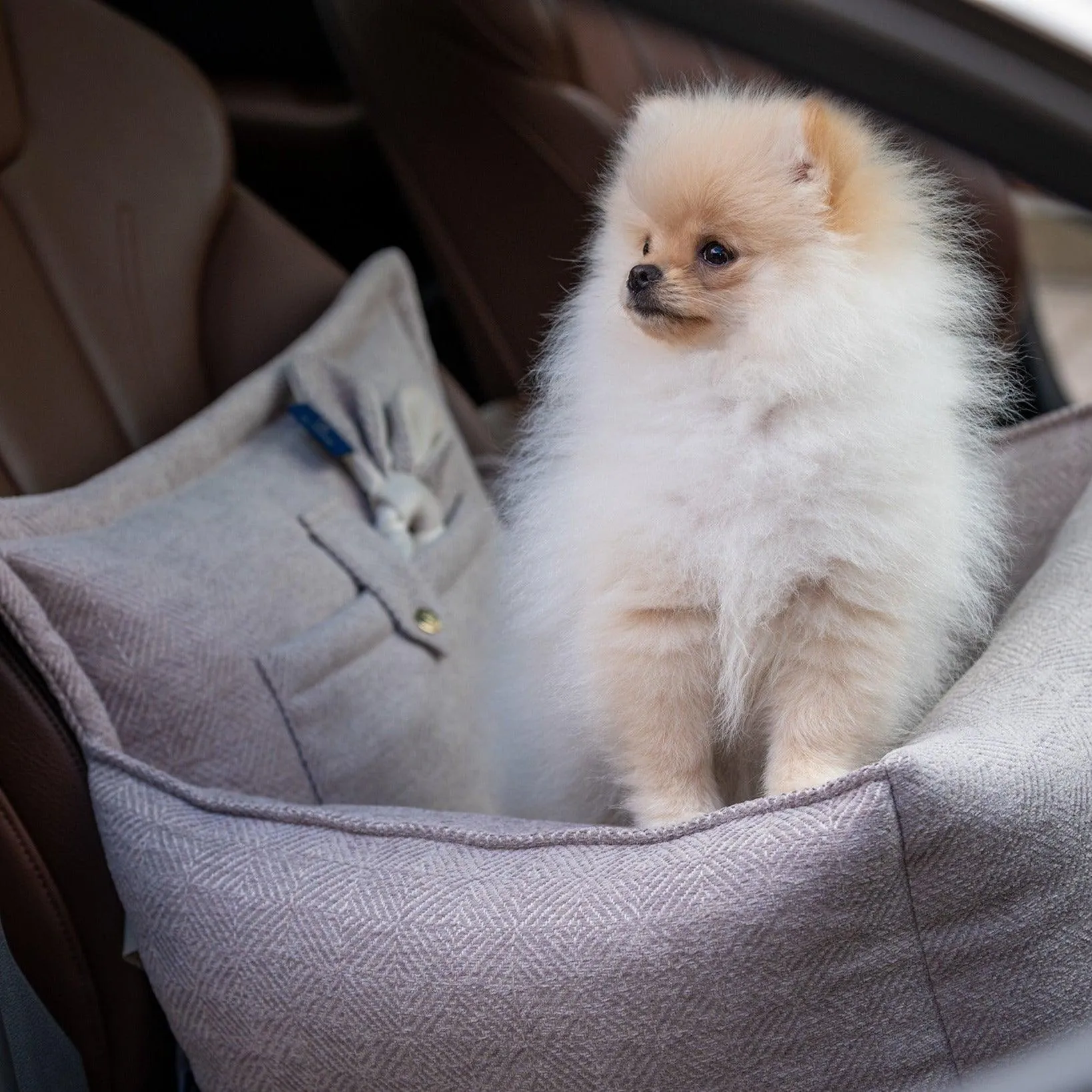 Luxury Dog Car Seat | Florence by Oh Charlie