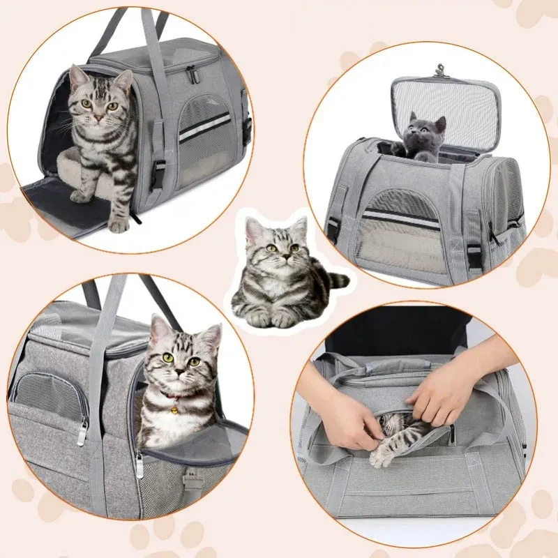 Pet Travel Carrier